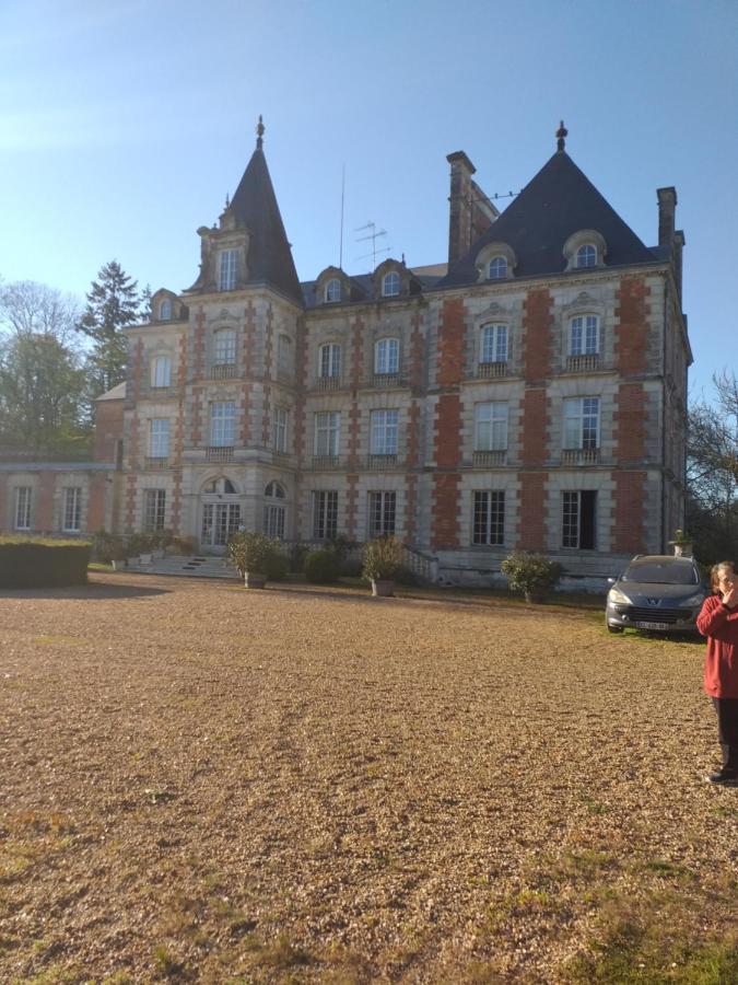 Chateau De Rocheux Freteval ภายนอก รูปภาพ